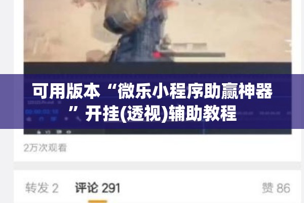 可用版本“微乐小程序助赢神器”开挂(透视)辅助教程