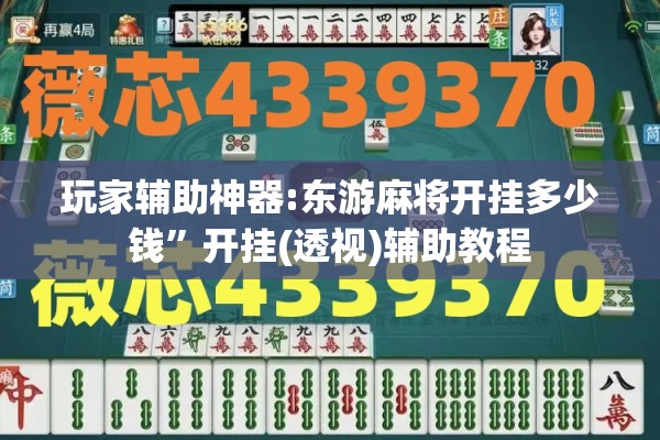 玩家辅助神器:东游麻将开挂多少钱”开挂(透视)辅助教程