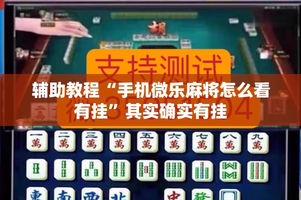 辅助教程“手机微乐麻将怎么看有挂”其实确实有挂