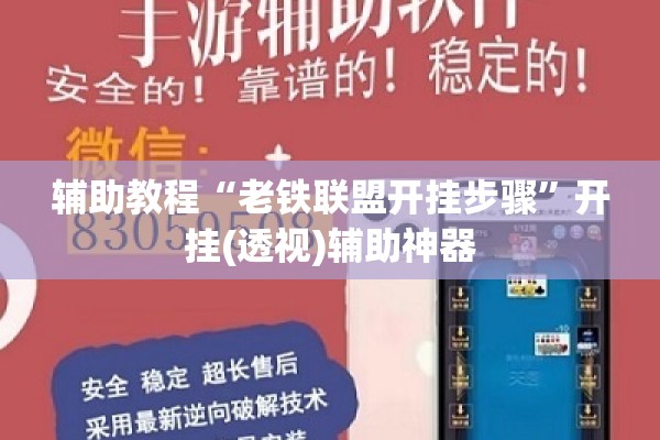 辅助教程“老铁联盟开挂步骤	”开挂(透视)辅助神器