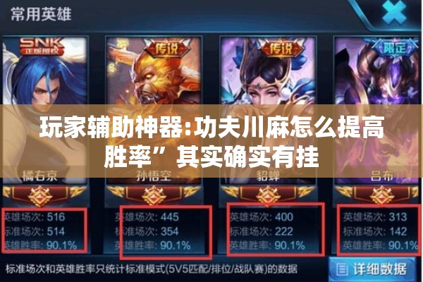 玩家辅助神器:功夫川麻怎么提高胜率	”其实确实有挂