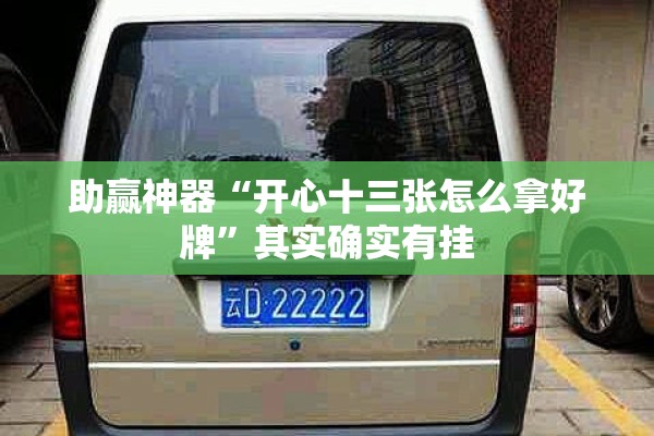 助赢神器“开心十三张怎么拿好牌	”其实确实有挂