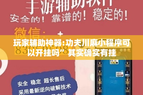 玩家辅助神器:功夫川麻小程序可以开挂吗”其实确实有挂