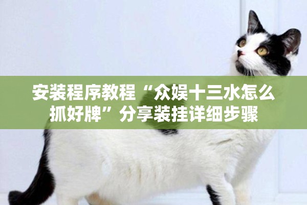 安装程序教程“众娱十三水怎么抓好牌	”分享装挂详细步骤