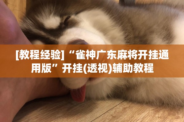 [教程经验]“雀神广东麻将开挂通用版”开挂(透视)辅助教程