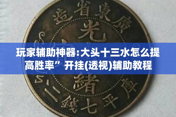 玩家辅助神器:大头十三水怎么提高胜率”开挂(透视)辅助教程