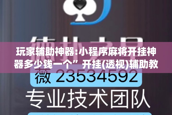 玩家辅助神器:小程序麻将开挂神器多少钱一个”开挂(透视)辅助教程