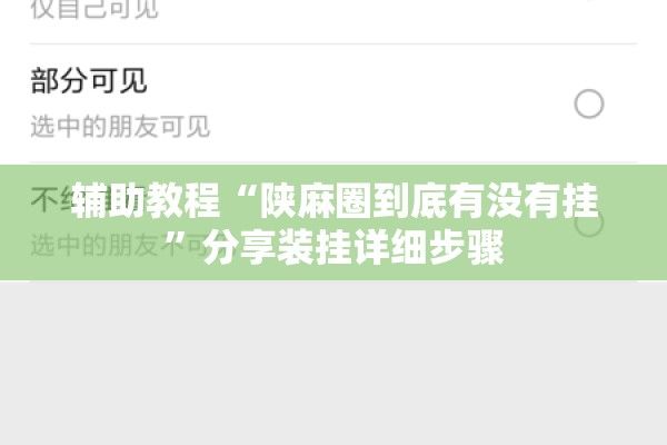 辅助教程“陕麻圈到底有没有挂”分享装挂详细步骤