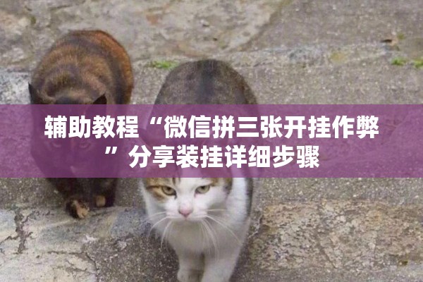 辅助教程“微信拼三张开挂作弊	”分享装挂详细步骤