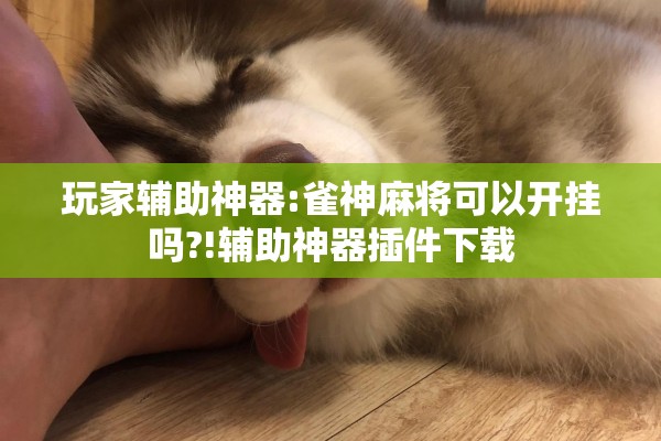 玩家辅助神器:雀神麻将可以开挂吗?!辅助神器插件下载 玩家辅助神器:雀神麻将可以开挂吗?!辅助神器插件下载