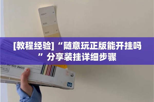 [教程经验]“随意玩正版能开挂吗”分享装挂详细步骤