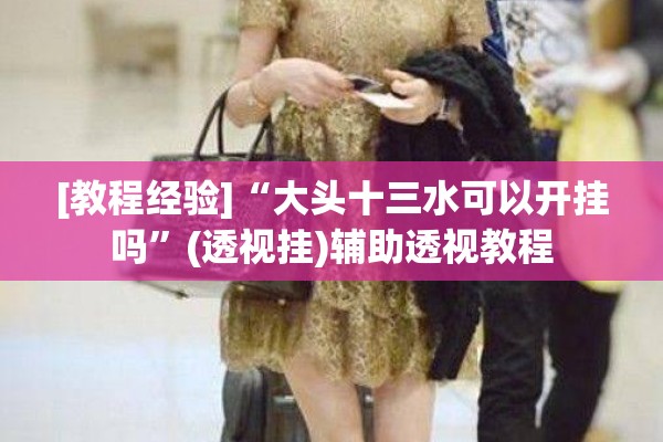 [教程经验]“大头十三水可以开挂吗	”(透视挂)辅助透视教程