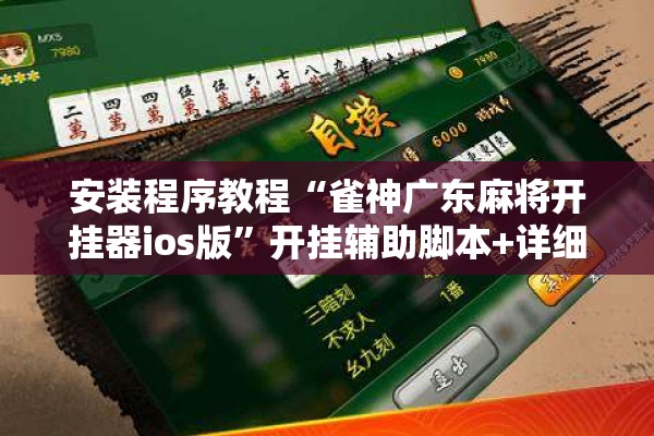 安装程序教程“雀神广东麻将开挂器ios版”开挂辅助脚本+详细开挂安装教程