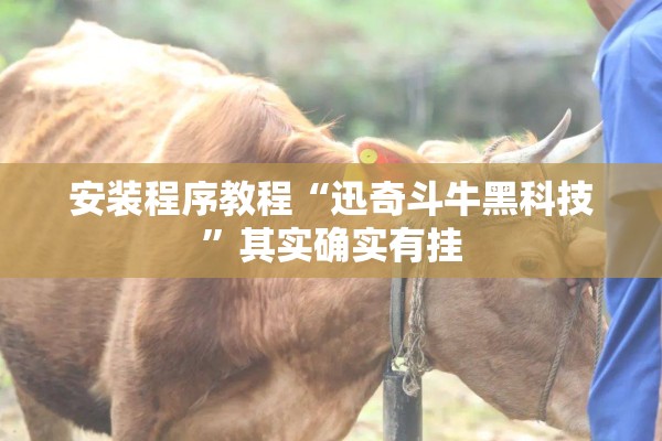 安装程序教程“迅奇斗牛黑科技”其实确实有挂