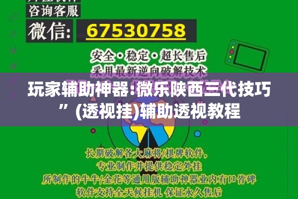 玩家辅助神器:微乐陕西三代技巧”(透视挂)辅助透视教程