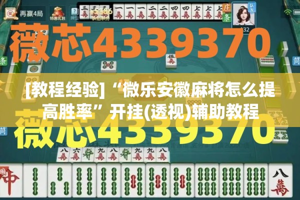 [教程经验]“微乐安徽麻将怎么提高胜率”开挂(透视)辅助教程