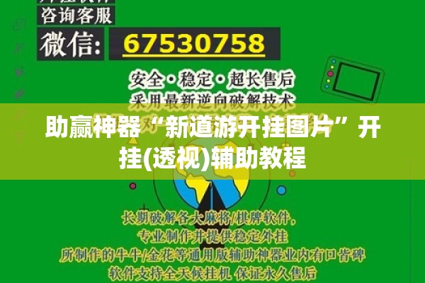 助赢神器“新道游开挂图片”开挂(透视)辅助教程