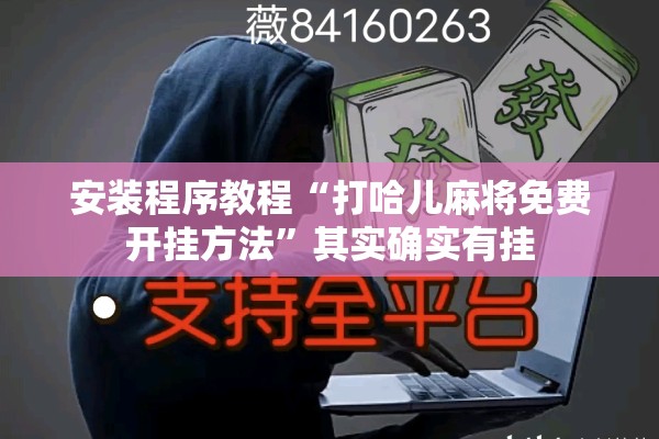 安装程序教程“打哈儿麻将免费开挂方法”其实确实有挂