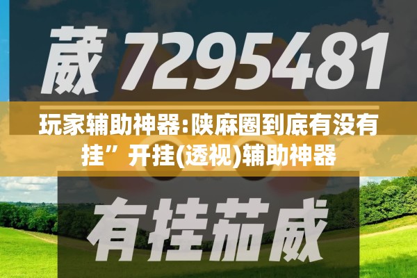 玩家辅助神器:陕麻圈到底有没有挂	”开挂(透视)辅助神器