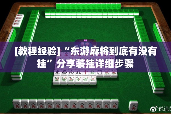 [教程经验]“东游麻将到底有没有挂”分享装挂详细步骤