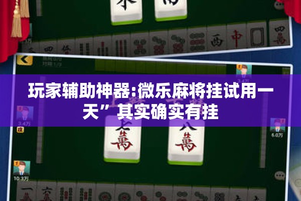 玩家辅助神器:微乐麻将挂试用一天”其实确实有挂
