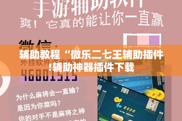 辅助教程“微乐二七王辅助插件!辅助神器插件下载