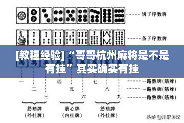 [教程经验]“哥哥杭州麻将是不是有挂”其实确实有挂