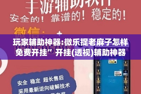 玩家辅助神器:微乐捉老麻子怎样免费开挂”开挂(透视)辅助神器