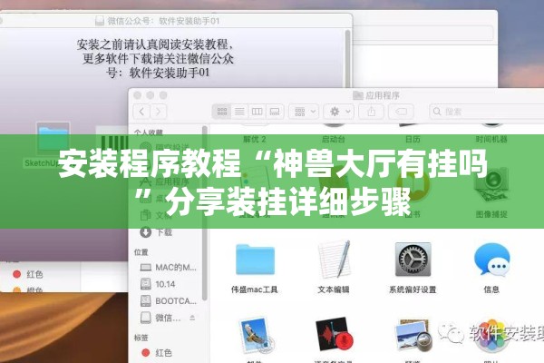 安装程序教程“神兽大厅有挂吗”分享装挂详细步骤