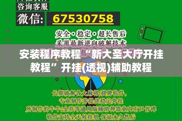 安装程序教程“新大圣大厅开挂教程”开挂(透视)辅助教程
