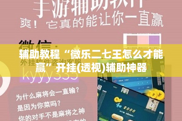 辅助教程“微乐二七王怎么才能赢”开挂(透视)辅助神器