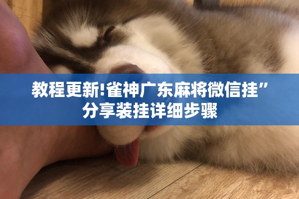 教程更新!雀神广东麻将微信挂	”分享装挂详细步骤
