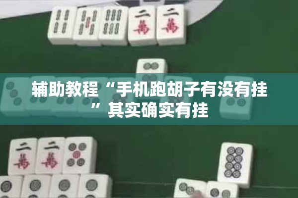 辅助教程“手机跑胡子有没有挂	”其实确实有挂