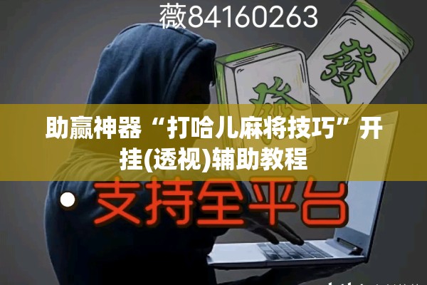 助赢神器“打哈儿麻将技巧	”开挂(透视)辅助教程