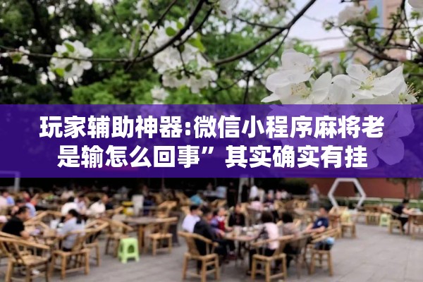 玩家辅助神器:微信小程序麻将老是输怎么回事”其实确实有挂