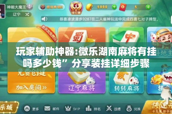 玩家辅助神器:微乐湖南麻将有挂吗多少钱”分享装挂详细步骤