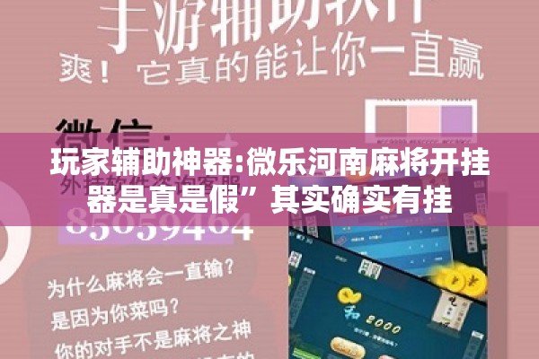 玩家辅助神器:微乐河南麻将开挂器是真是假	”其实确实有挂