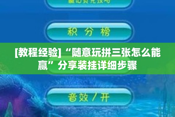 [教程经验]“随意玩拼三张怎么能赢	”分享装挂详细步骤