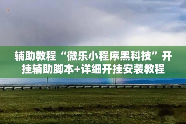 辅助教程“微乐小程序黑科技”开挂辅助脚本+详细开挂安装教程
