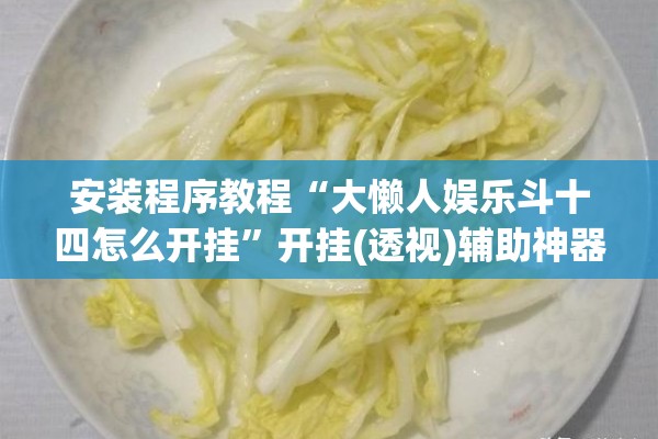 安装程序教程“大懒人娱乐斗十四怎么开挂”开挂(透视)辅助神器