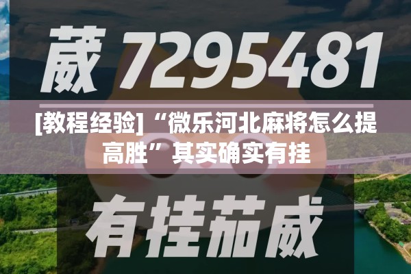[教程经验]“微乐河北麻将怎么提高胜”其实确实有挂