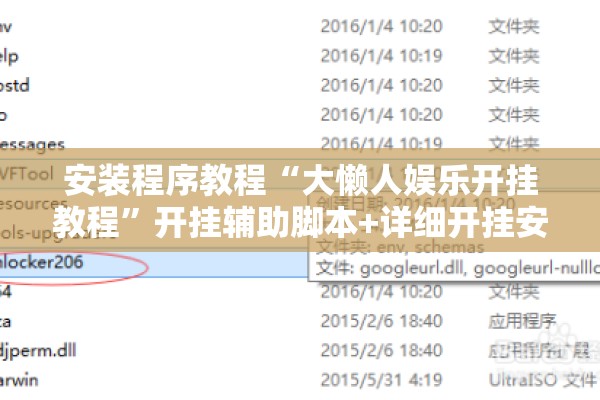 安装程序教程“大懒人娱乐开挂教程	”开挂辅助脚本+详细开挂安装教程