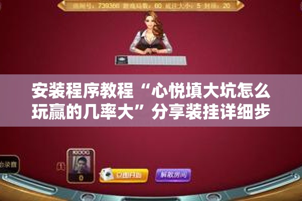安装程序教程“心悦填大坑怎么玩赢的几率大	”分享装挂详细步骤