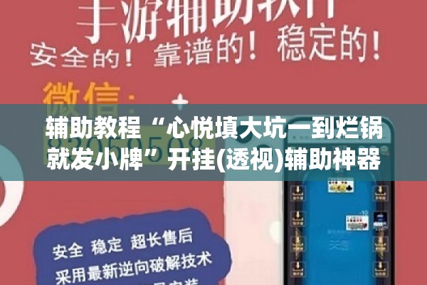 辅助教程“心悦填大坑一到烂锅就发小牌”开挂(透视)辅助神器