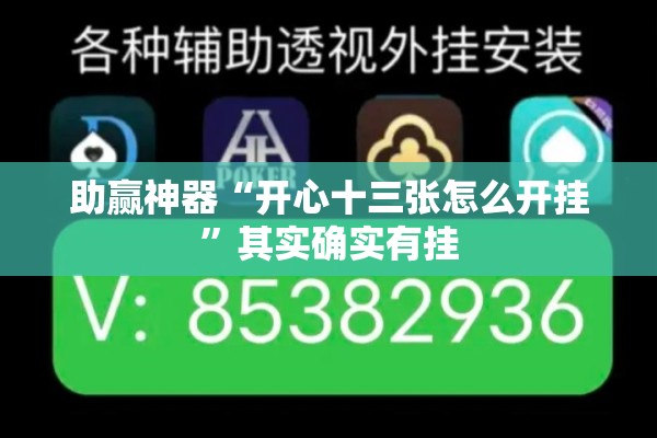 助赢神器“开心十三张怎么开挂”其实确实有挂