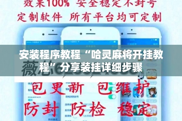 安装程序教程“哈灵麻将开挂教程”分享装挂详细步骤