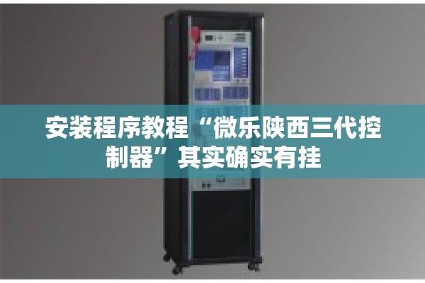 安装程序教程“微乐陕西三代控制器	”其实确实有挂