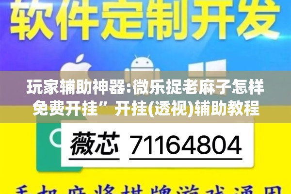 玩家辅助神器:微乐捉老麻子怎样免费开挂”开挂(透视)辅助教程