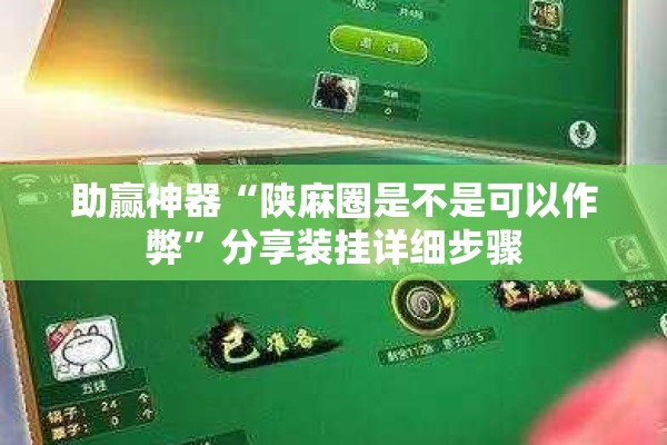 助赢神器“陕麻圈是不是可以作弊”分享装挂详细步骤