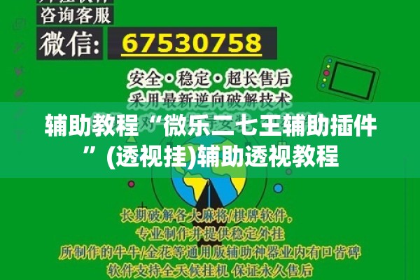 辅助教程“微乐二七王辅助插件	”(透视挂)辅助透视教程